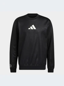Худи и свитшоты Adidas модель HC7676 Фото