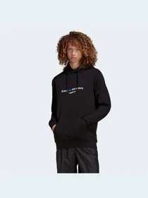 Худи и свитшоты Adidas Graphics модель HC7162 Фото