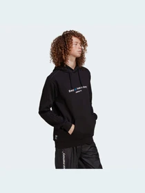 Худи и свитшоты Adidas Graphics модель HC7162 Фото