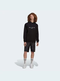 Худи и свитшоты Adidas Graphics модель HC7162 Фото