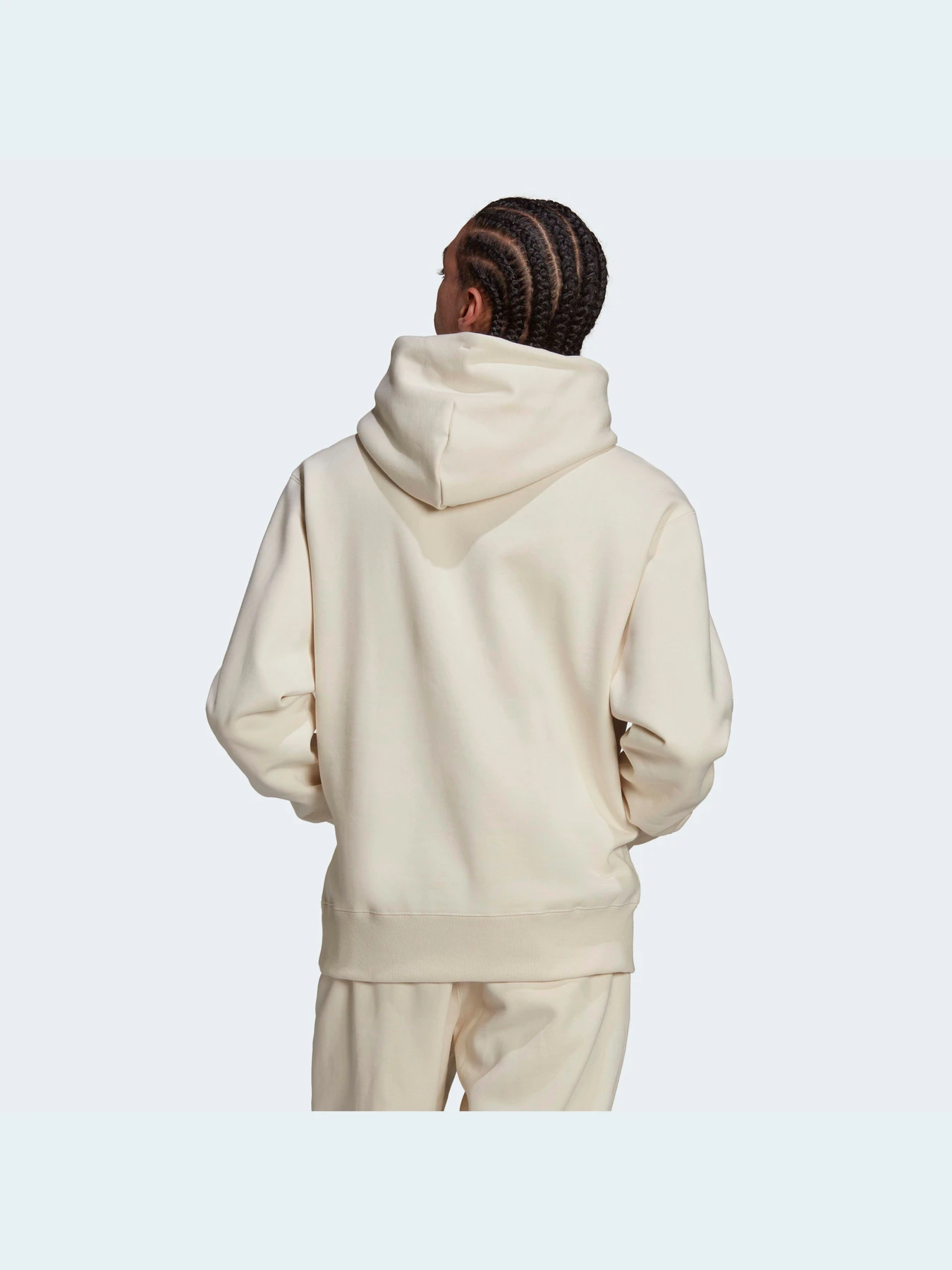 Худи и свитшоты Adidas Adicolor модель HD2749 Фото