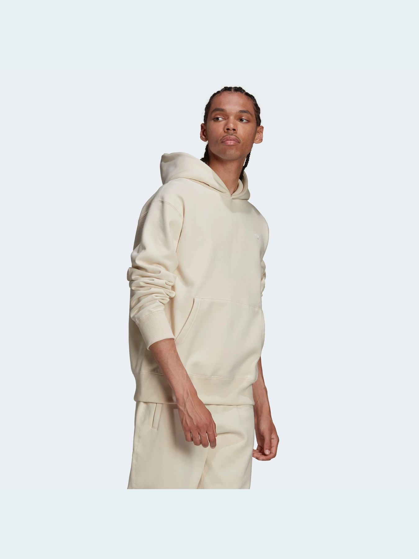 Худи и свитшоты Adidas Adicolor модель HD2749 Фото