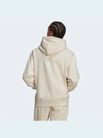 Худи и свитшоты Adidas Adicolor модель HD2749 Фото