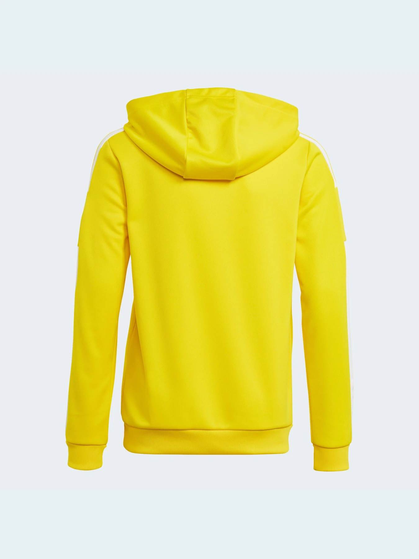 Худи и свитшоты Adidas Tiro модель GP6431 Фото