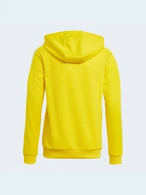 Худи и свитшоты Adidas Tiro модель GP6431 Фото