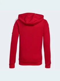 Худи и свитшоты Adidas Tiro модель GP6433 Фото