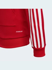 Худи и свитшоты Adidas Tiro модель GP6433 Фото
