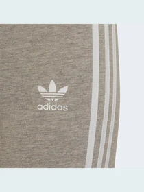 Брюки Adidas Adicolor модель HI2277 Фото