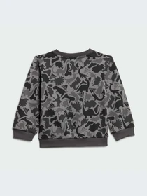 Костюми Adidas Graphics модель IM1664 Фото