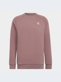 Худи и свитшоты Adidas модель HJ7991 Фото