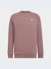 Худи и свитшоты Adidas модель HJ7991 Фото