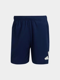 Шорты Adidas модель IB8124 Фото