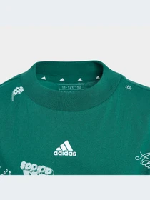 Футболки и поло Adidas Graphics модель IA1562 Фото