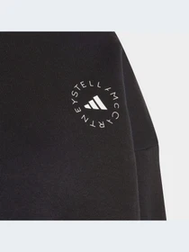 Худи и свитшоты Adidas модель HR9165 Фото