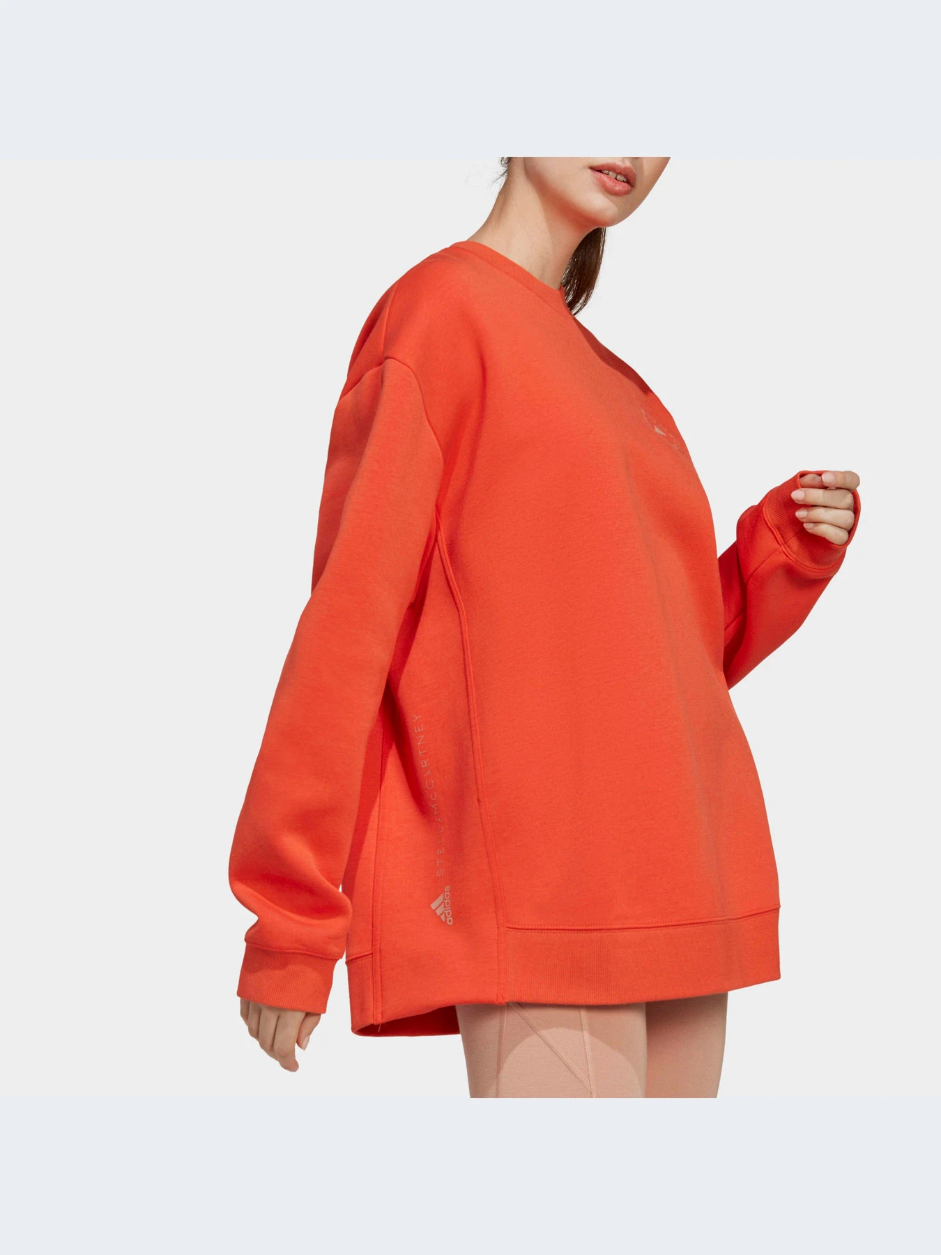 Худі та світшоти Adidas модель HR2199 Фото