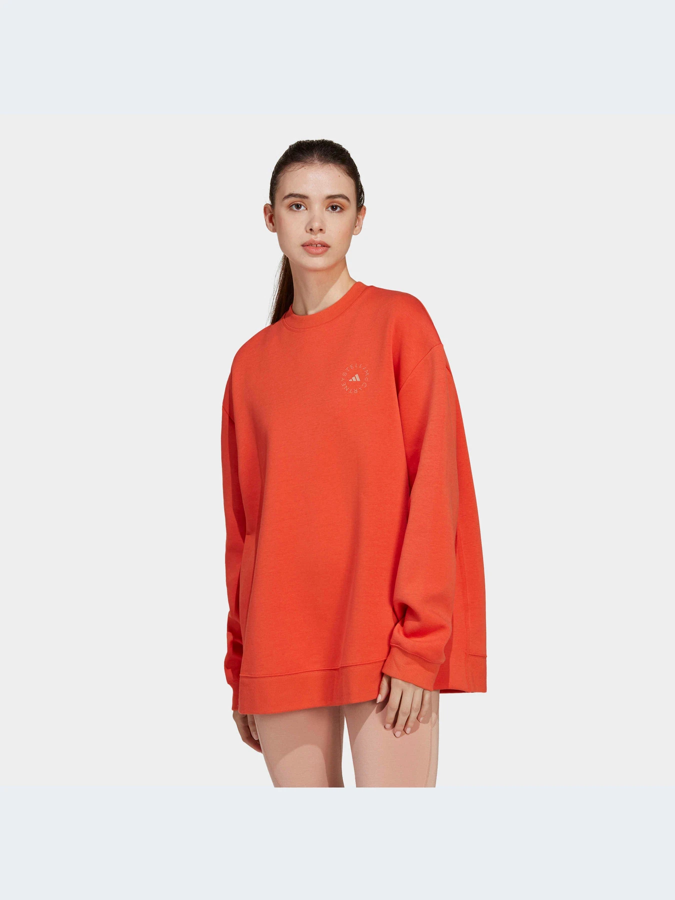 Худі та світшоти Adidas модель HR2199 Фото
