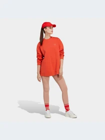Худі та світшоти Adidas модель HR2199 Фото