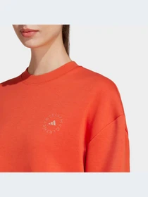 Худі та світшоти Adidas модель HR2199 Фото