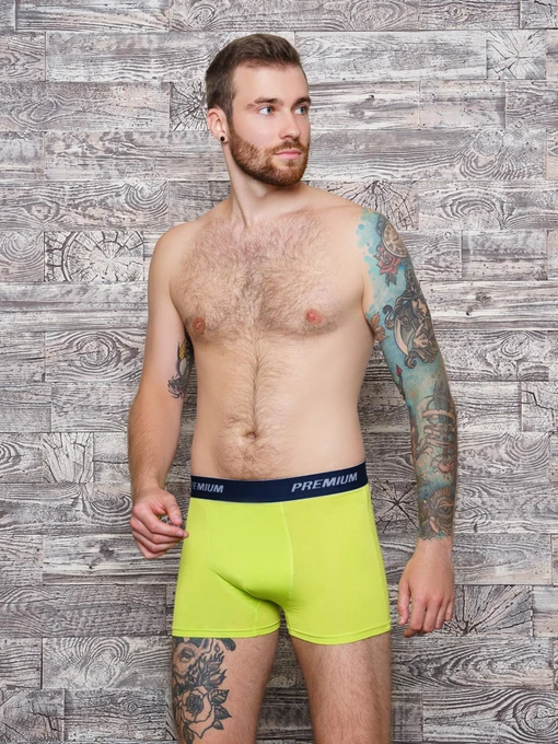 Нижня білизна ISSA Plus модель GN5-153_lightgreen Фото