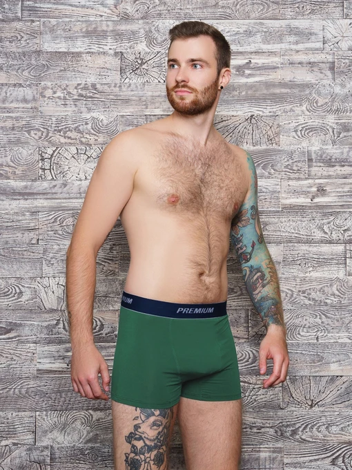 Нижня білизна ISSA Plus модель GN5-153_khaki Фото