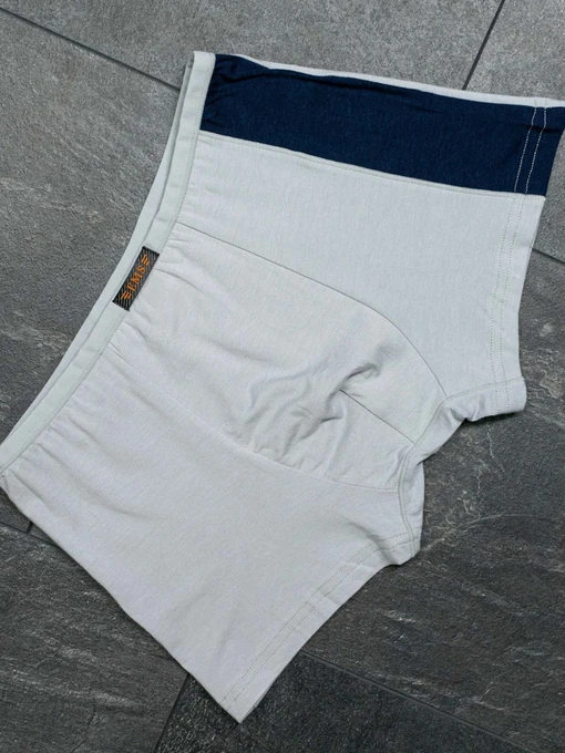 Нижня білизна ISSA Plus модель GN5-164_lightgray Фото