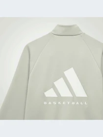 Худи и свитшоты Adidas модель IJ0943 Фото