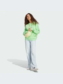 Худі та світшоти Adidas модель IP7132 Фото