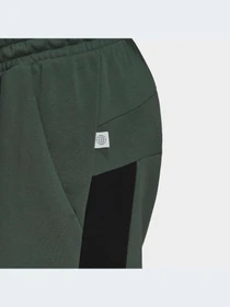 Брюки Adidas модель HC5861 Фото