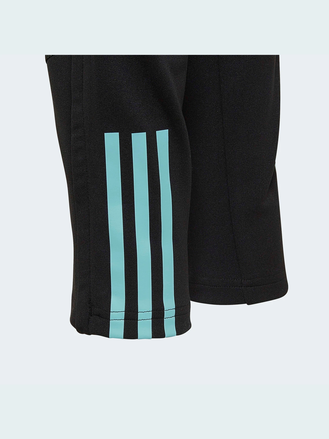 Брюки Adidas модель HD6411 Фото