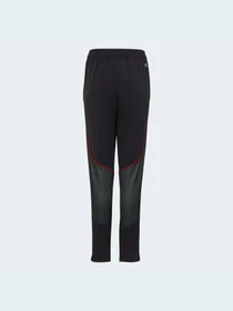 Брюки Adidas модель HD6411 Фото