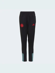 Брюки Adidas модель HD6411 Фото