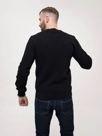 Светри та кардигани ISSA Plus модель GN4-153_black Фото