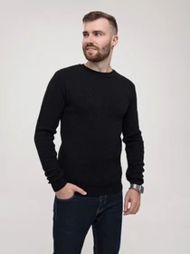 Светри та кардигани ISSA Plus модель GN4-155_black Фото