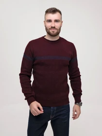 Светри та кардигани ISSA Plus модель GN4-158_burgundy Фото