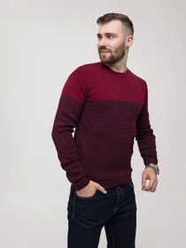 Светри та кардигани ISSA Plus модель GN4-159_burgundy Фото