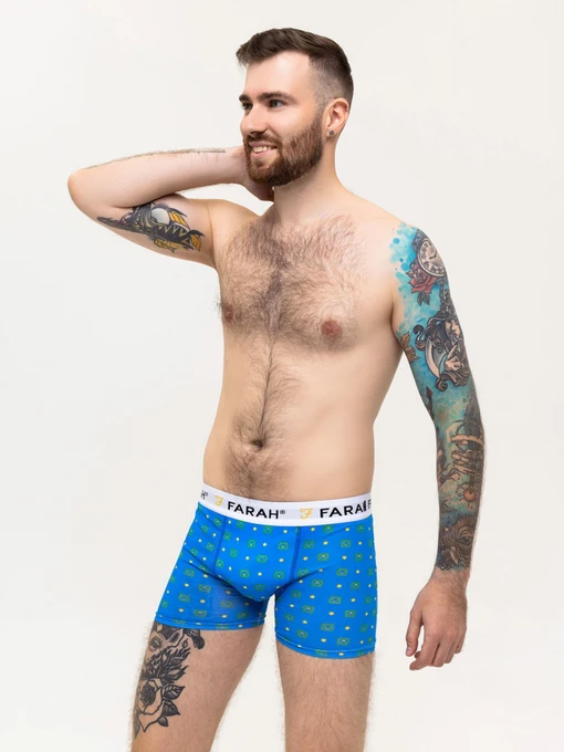 Нижнее белье ISSA Plus модель GN5-223_blue Фото