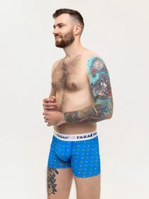 Нижнее белье ISSA Plus модель GN5-223_blue Фото