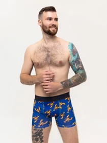 Нижнее белье ISSA Plus модель GN5-228_blue Фото