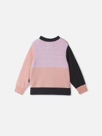 Худи и свитшоты REIMA MOOMIN IDELAR модель 5200020A-3171 Фото