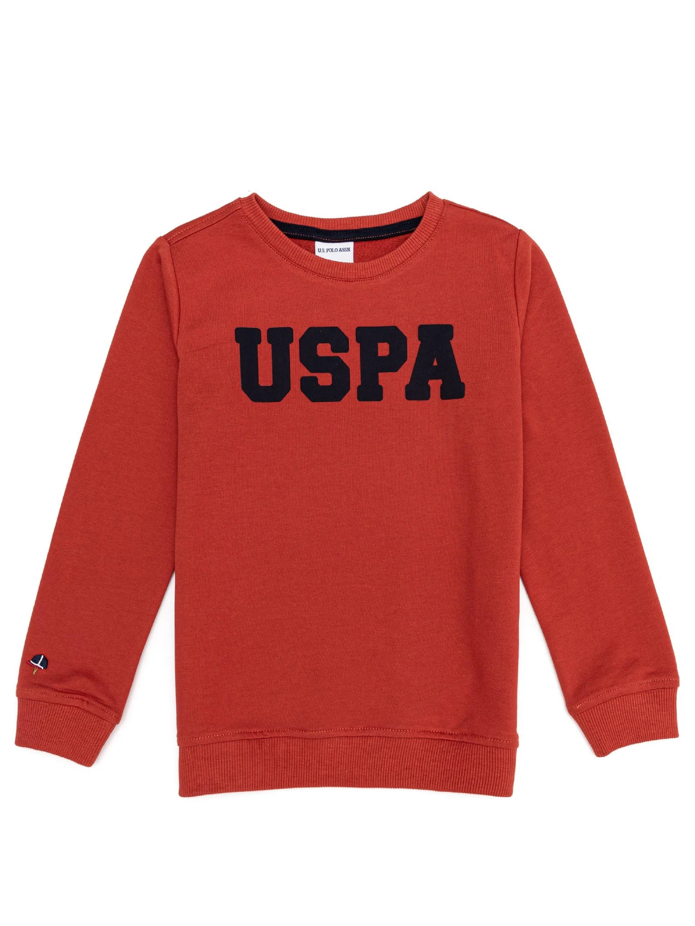 Худи и свитшоты US Polo модель G083SZ082.000.1259385.VR191 Фото