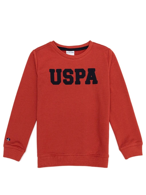 Худи и свитшоты US Polo модель G083SZ082.000.1259385.VR191 Фото