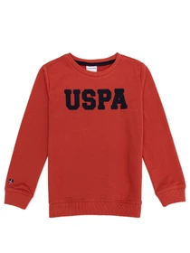 Худи и свитшоты US Polo модель G083SZ082.000.1259385.VR191 Фото