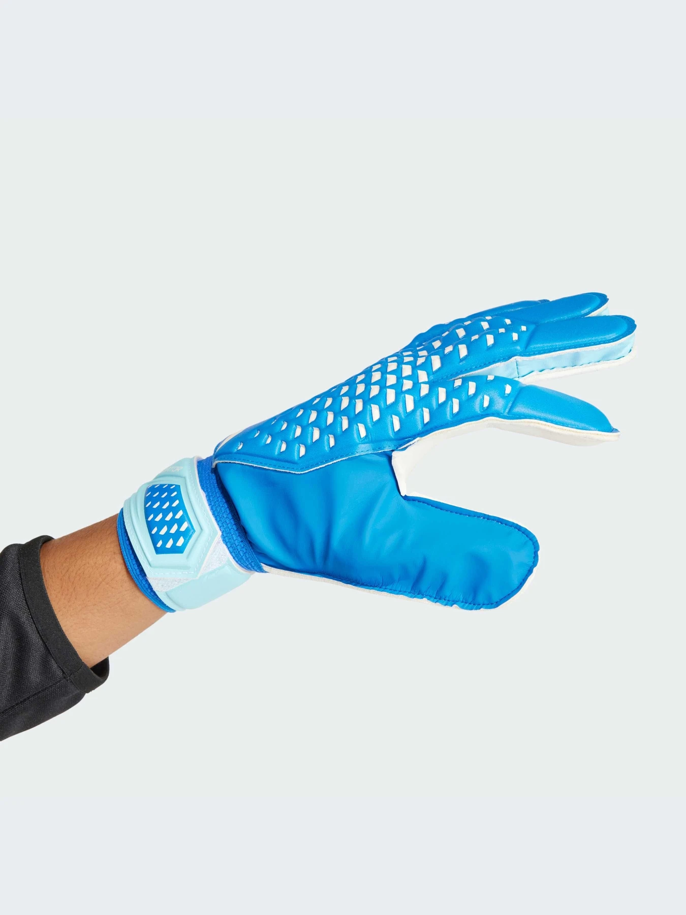 Перчатки для спорта Adidas Predator модель IA0876 Перчатки для спорта Adidas Predator модель IA0876 Фото