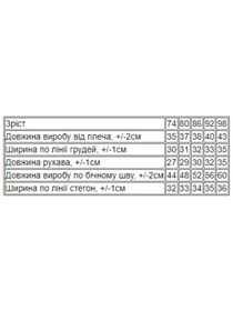 Одежда для младенцев Носи своє модель 5066-025-33-4-mentol Фото
