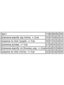 Одяг для немовлят Носи своє модель 5066-025-33-5-chajna-troqnda Фото