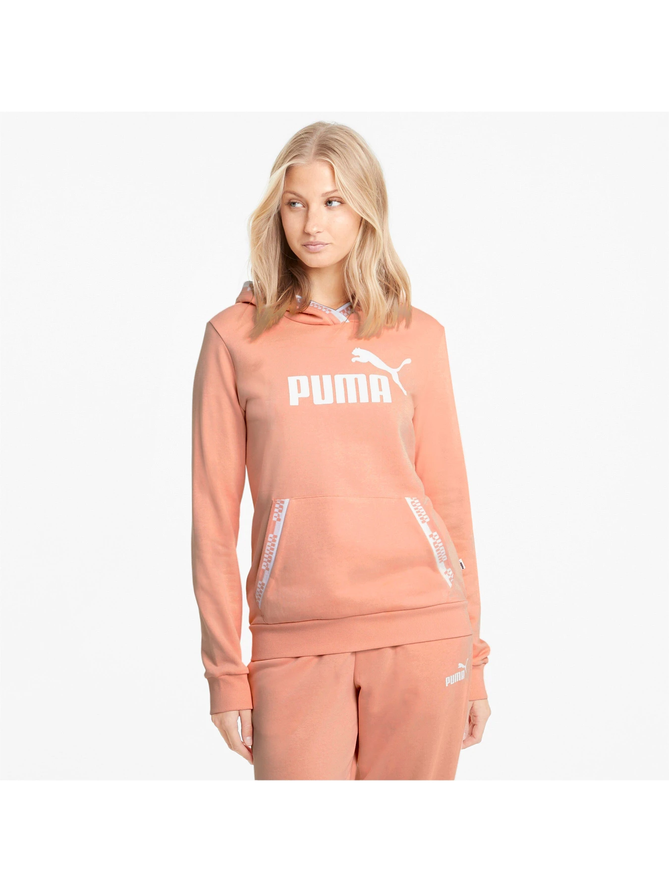 Худі та світшоти PUMA модель 585910 Худі та світшоти PUMA модель 585910 Фото