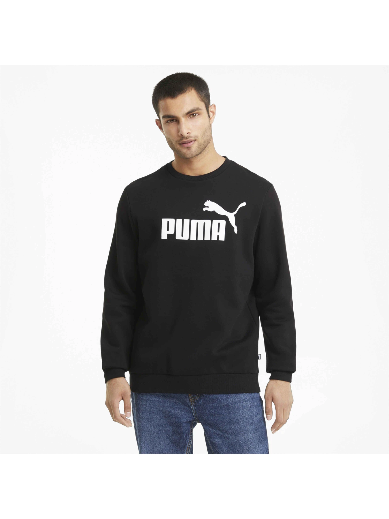 Худи и свитшоты PUMA Ess Big Logo Crew модель 586678 Фото