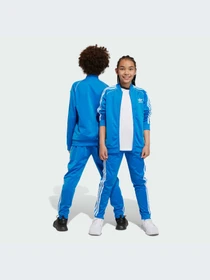 Брюки Adidas Adicolor модель IN4758 Фото