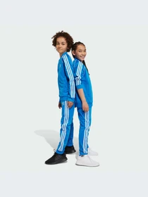 Брюки Adidas Adicolor модель IN4758 Фото