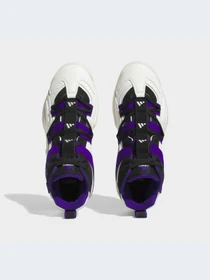 Кроссовки Adidas модель HQ4622 Фото